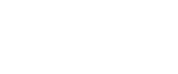 BLACK FLYS
